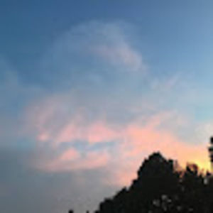 Meet your Posher, Ella